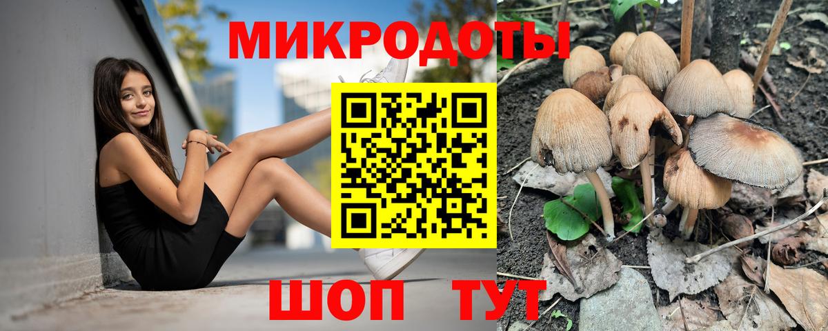 Псилоцибиновые грибы Magic Shrooms Канаш